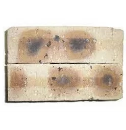 West End Clay Brick and Roofing FBS Dapple Multi Mix Clay Brick Light Travertine